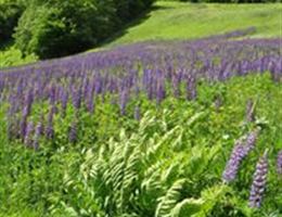 Dartmouth Skiway is a  World Class Wedding Venues Gold Member