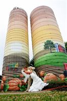 Barn N Bunk is a  World Class Wedding Venues Gold Member