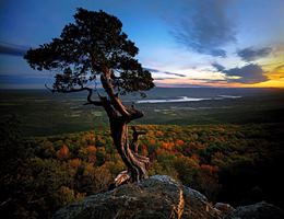 The Peel Compton Foundation is a  World Class Wedding Venues Gold Member