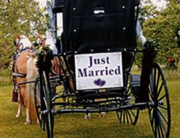 Alber Orchard And Cider Mill is a  World Class Wedding Venues Gold Member