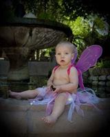 Boojum Tree Hidden Gardens is a  World Class Wedding Venues Gold Member