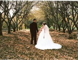 Martha's Orchard is a  World Class Wedding Venues Gold Member