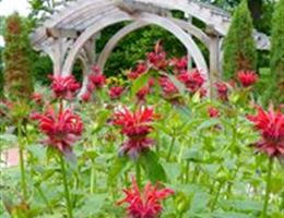 Wellfield Botanic Gardens is a  World Class Wedding Venues Gold Member