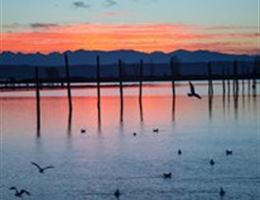 Floral Hall at Forest Park is a  World Class Wedding Venues Gold Member