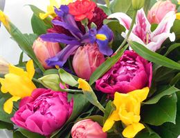 Tibbetts Creek Manor is a  World Class Wedding Venues Gold Member