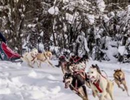 Alaska Dog Mushers Association is a  World Class Wedding Venues Gold Member