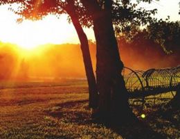 Harpor's Vineyard is a  World Class Wedding Venues Gold Member