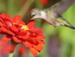 McCrory Gardens Education and Visitor Center is a  World Class Wedding Venues Gold Member