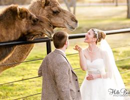 Classic Oak Ranch is a  World Class Wedding Venues Gold Member