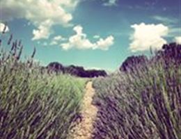 Los Poblanos Historic Inn And  Organic Farm is a  World Class Wedding Venues Gold Member