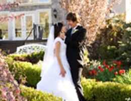 Millennial Falls is a  World Class Wedding Venues Gold Member