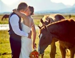Diamond Cross Ranch is a  World Class Wedding Venues Gold Member