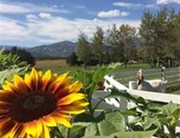 Rancho Alegre Lodge is a  World Class Wedding Venues Gold Member