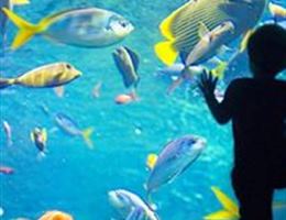 California Academy Of Sciences is a  World Class Wedding Venues Gold Member