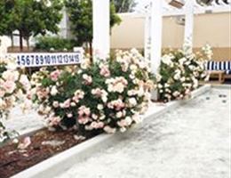 Bay Club Stone Tree is a  World Class Wedding Venues Gold Member