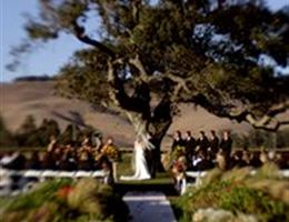 Chardonnay Golf Club is a  World Class Wedding Venues Gold Member
