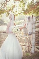 The Condor's Nest Ranch is a  World Class Wedding Venues Gold Member