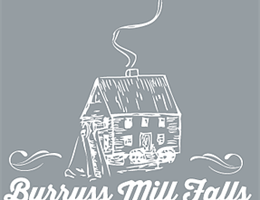 Burruss Mill Falls is a  World Class Wedding Venues Gold Member
