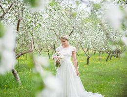 Maple Rock Farm is a  World Class Wedding Venues Gold Member