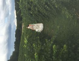 Treehouse Vineyards is a  World Class Wedding Venues Gold Member