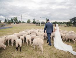 Tobruk Sydney is a  World Class Wedding Venues Gold Member